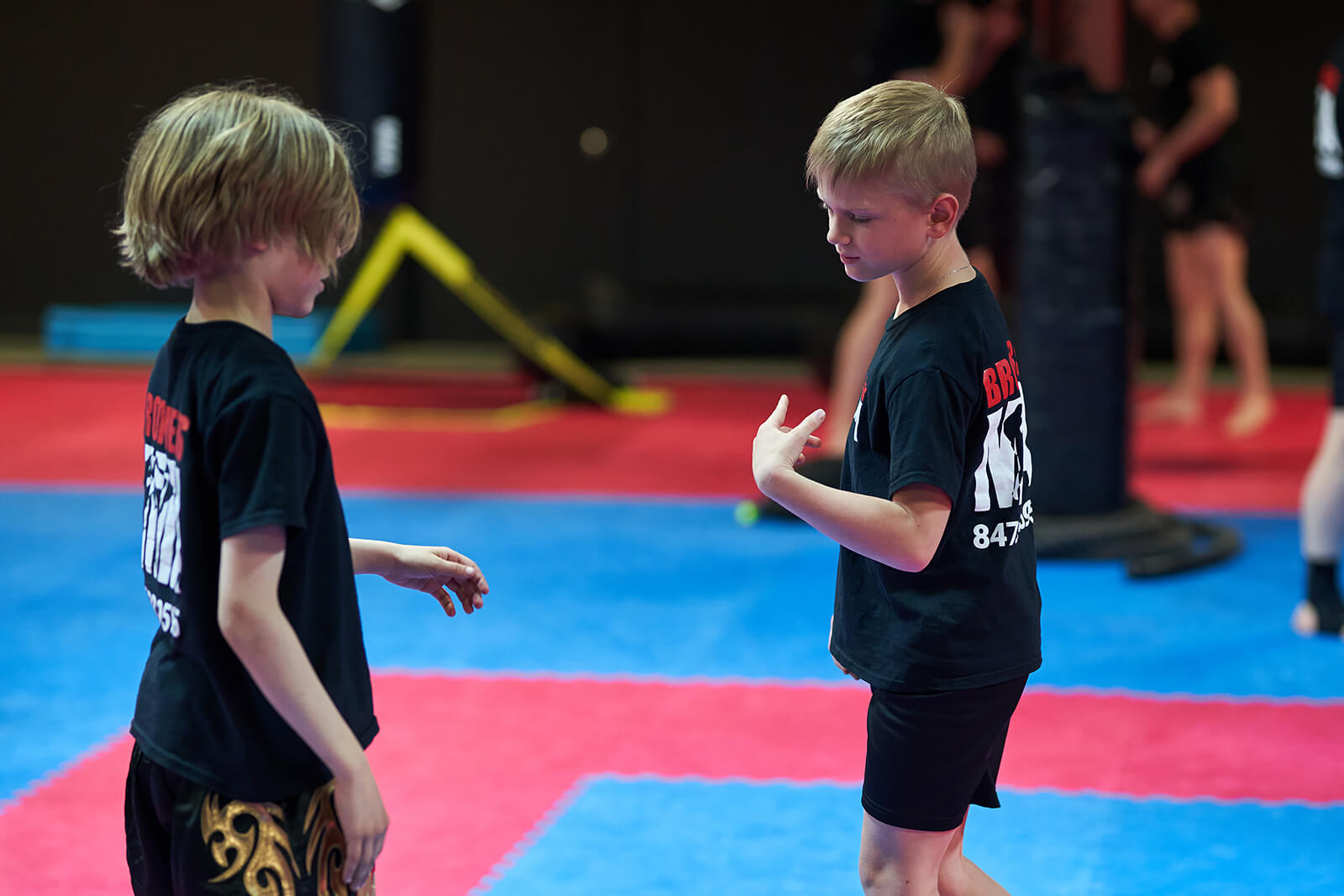 Little Ninjas (4-7Yrs) classes at Brothers MMA Gym in Buffalo Grove, IL